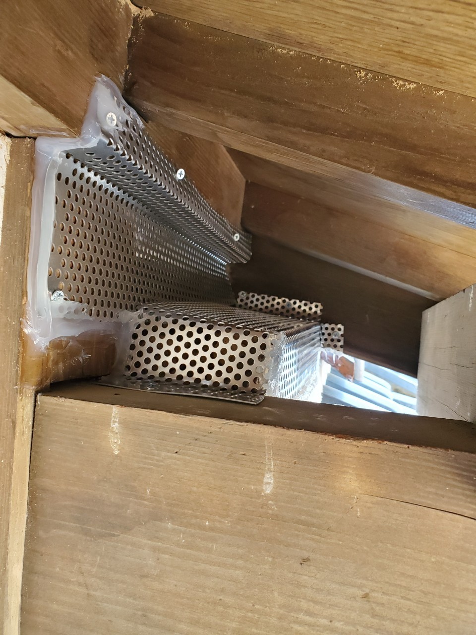 福岡県久留米市　アライグマによる被害　U様邸　駆除実績