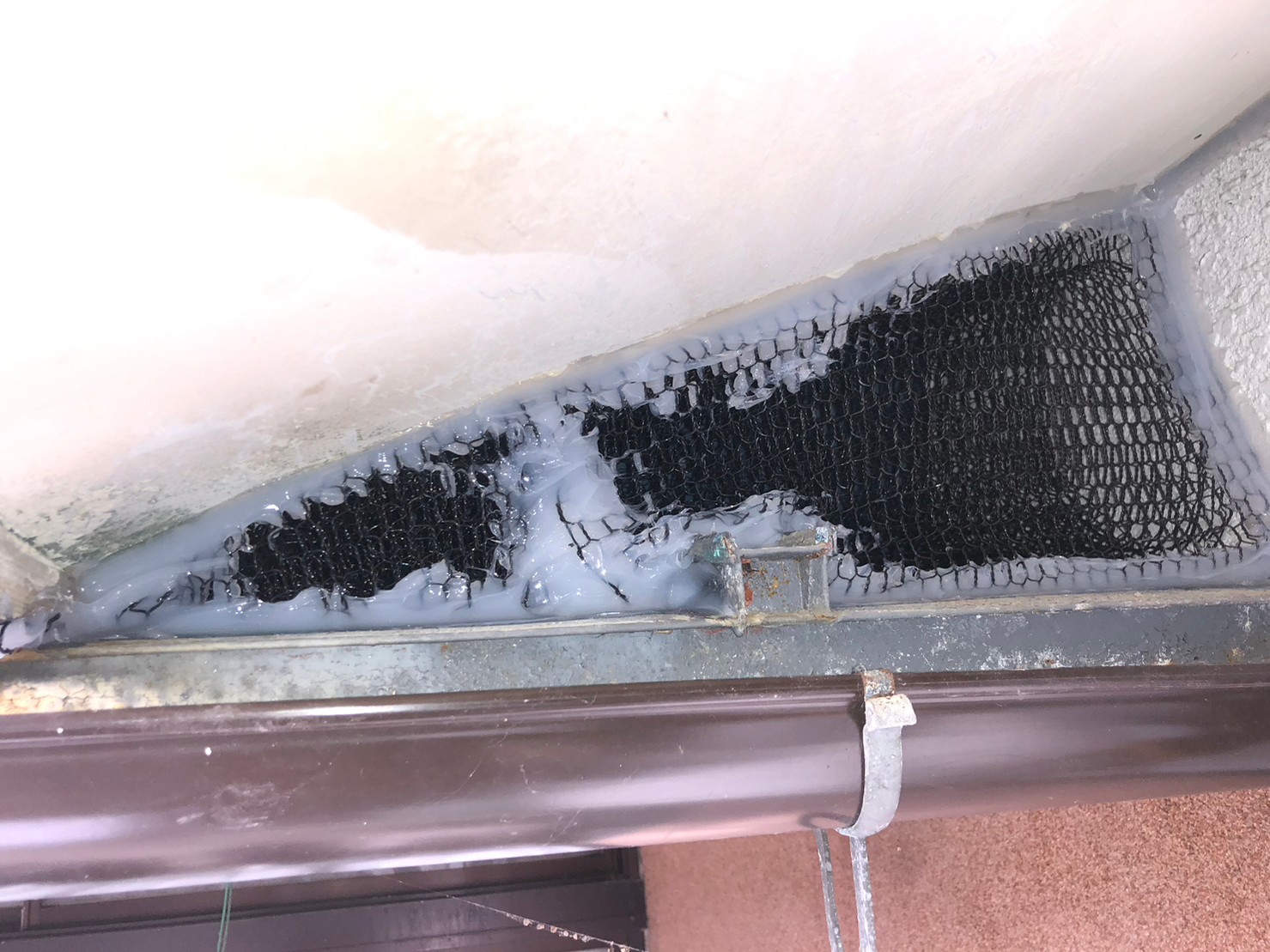 福岡県飯塚市　ネズミによる被害　O様邸　駆除実績