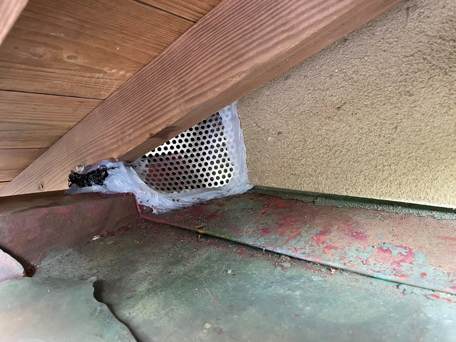 福岡県小郡市　イタチによる被害　A様邸　駆除実績