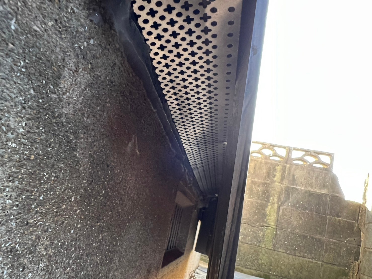 佐賀県武雄市　アライグマによる被害　H様邸　駆除実績