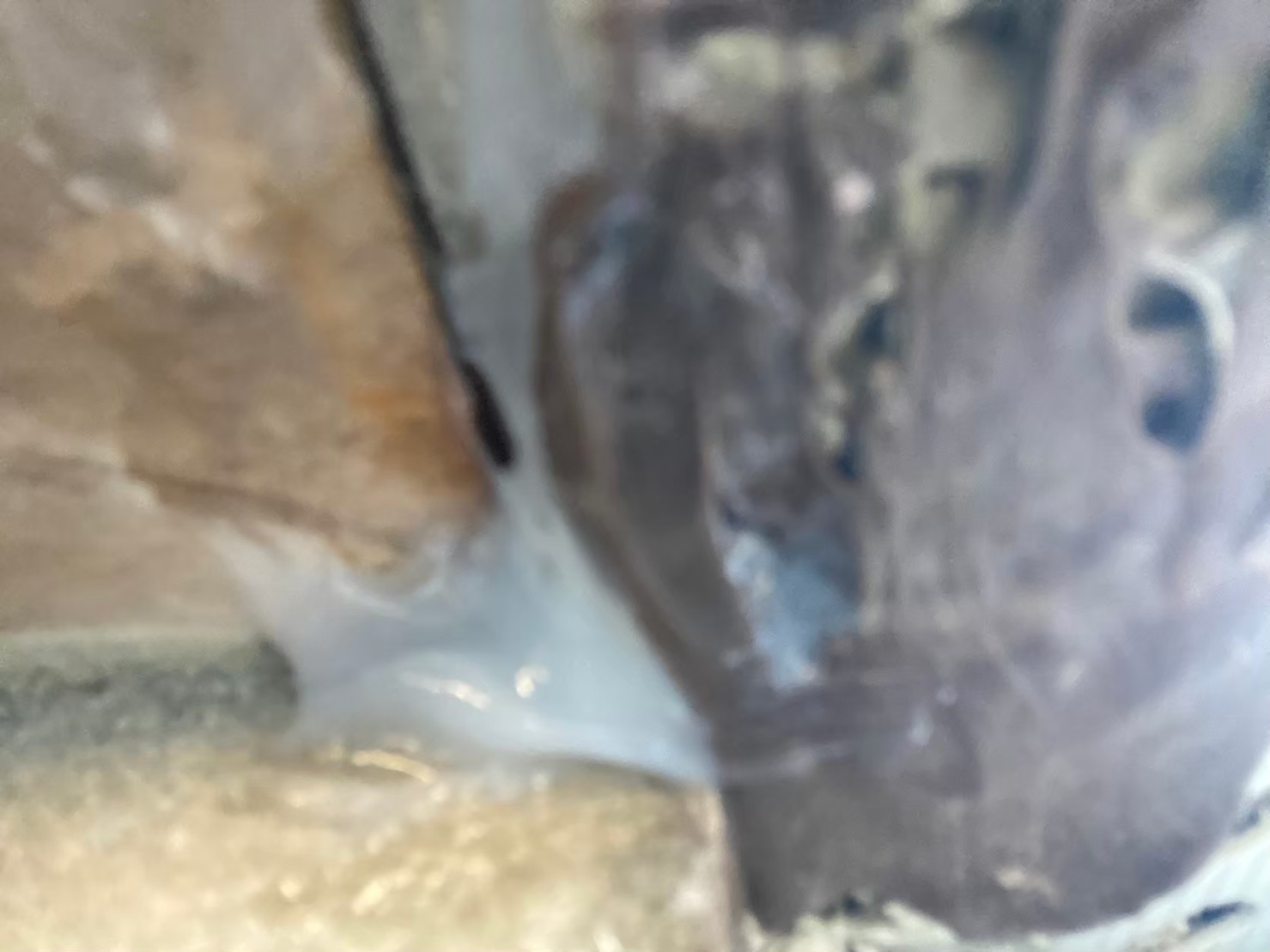 佐賀県神埼市　ネズミによる被害　Y様邸　駆除実績