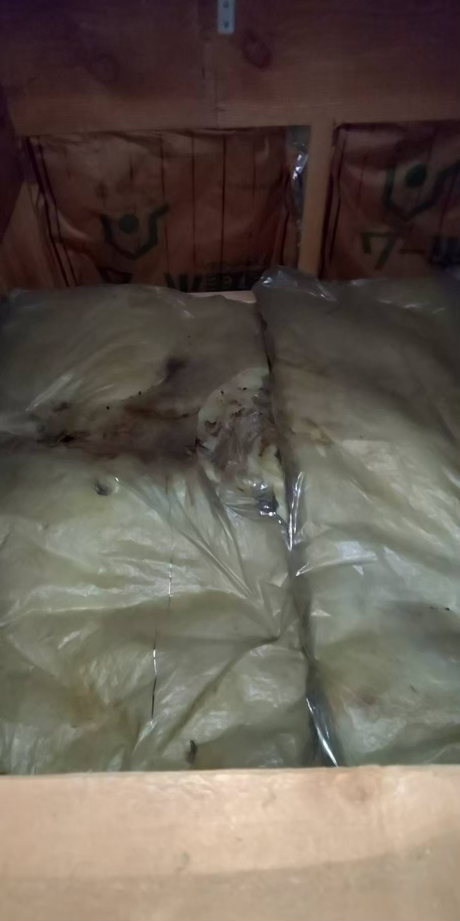 佐賀県鳥栖市　イタチによる被害　T様邸　駆除実績