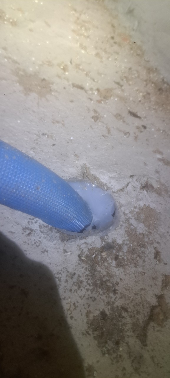 佐賀県鳥栖市　ネズミによる被害　I様邸　駆除実績