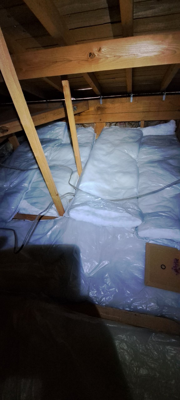 福岡県大野城市　アライグマによる被害　H様邸　駆除実績