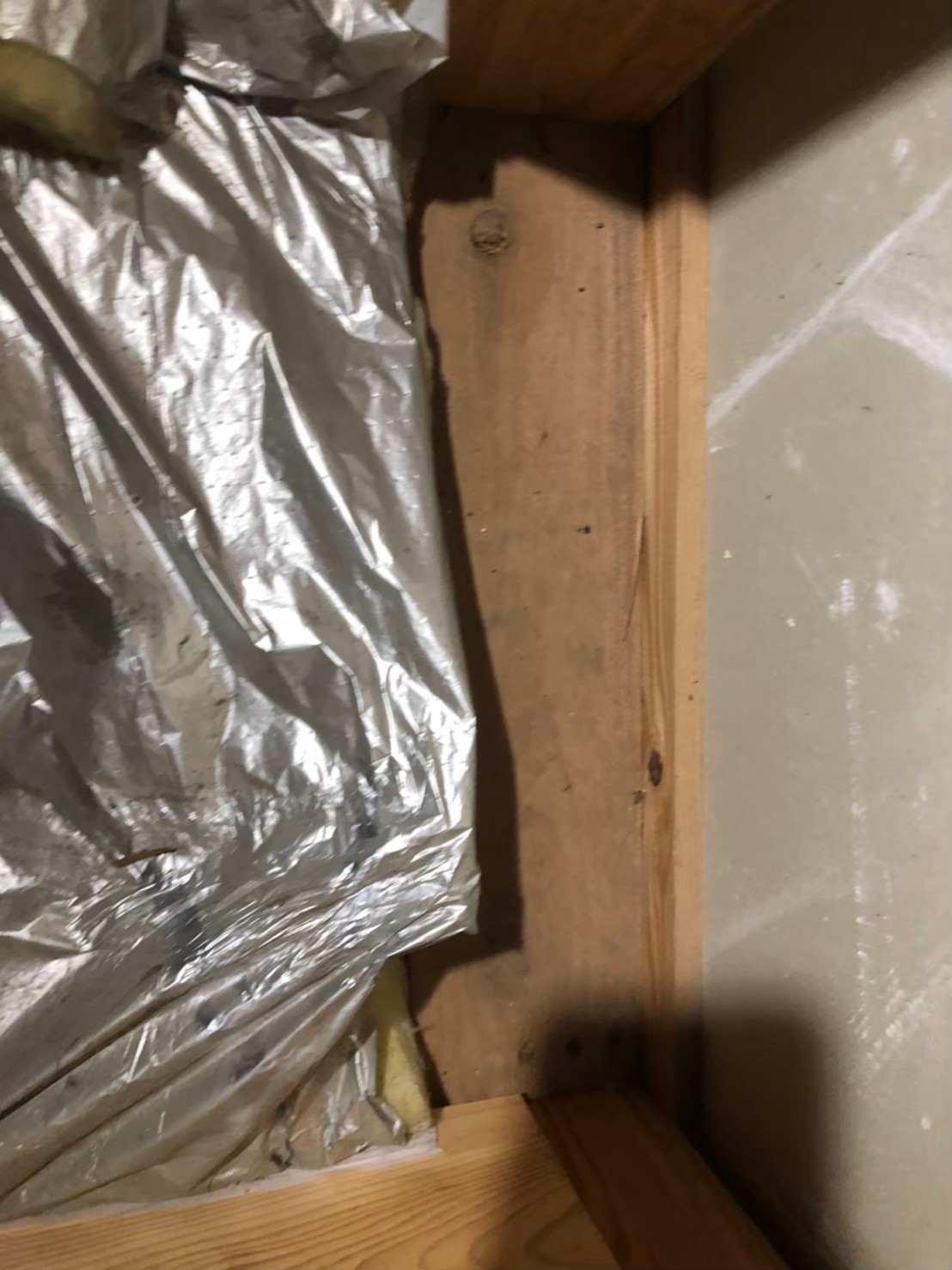 佐賀県唐津市　ネズミによる被害　Y様邸　駆除実績