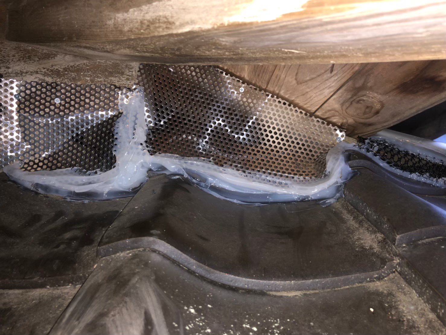 福岡県福岡市　イタチによる被害　O様邸　駆除実績