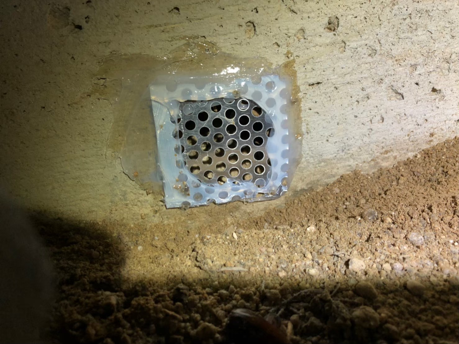 福岡県久留米市　ネズミによる被害　S様邸　駆除実績