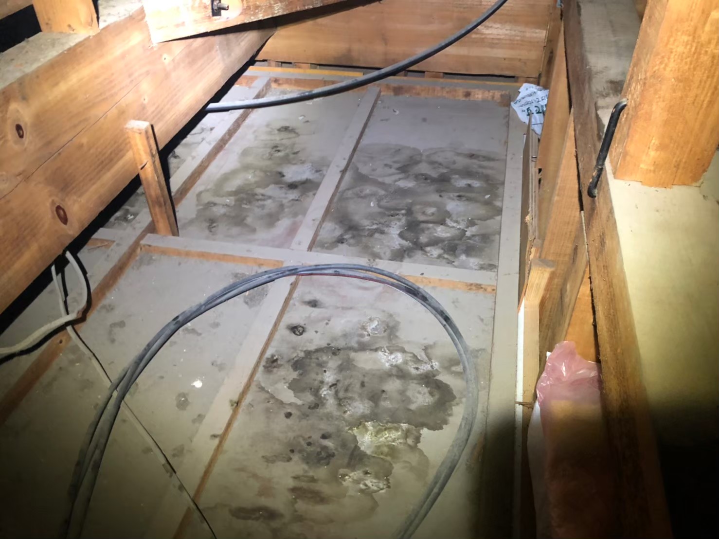 佐賀県武雄市　イタチによる被害　I様邸　駆除実績