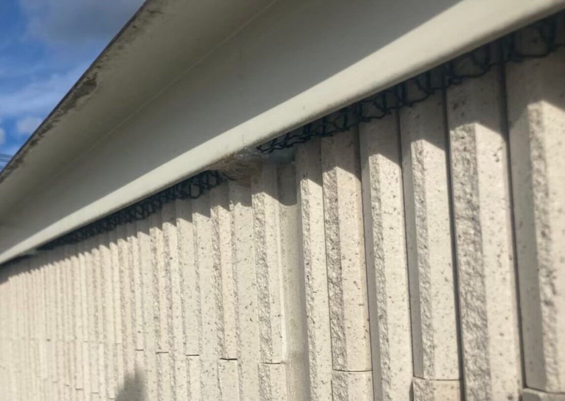 ネズミによる被害　医療施設I　T様　駆除実績