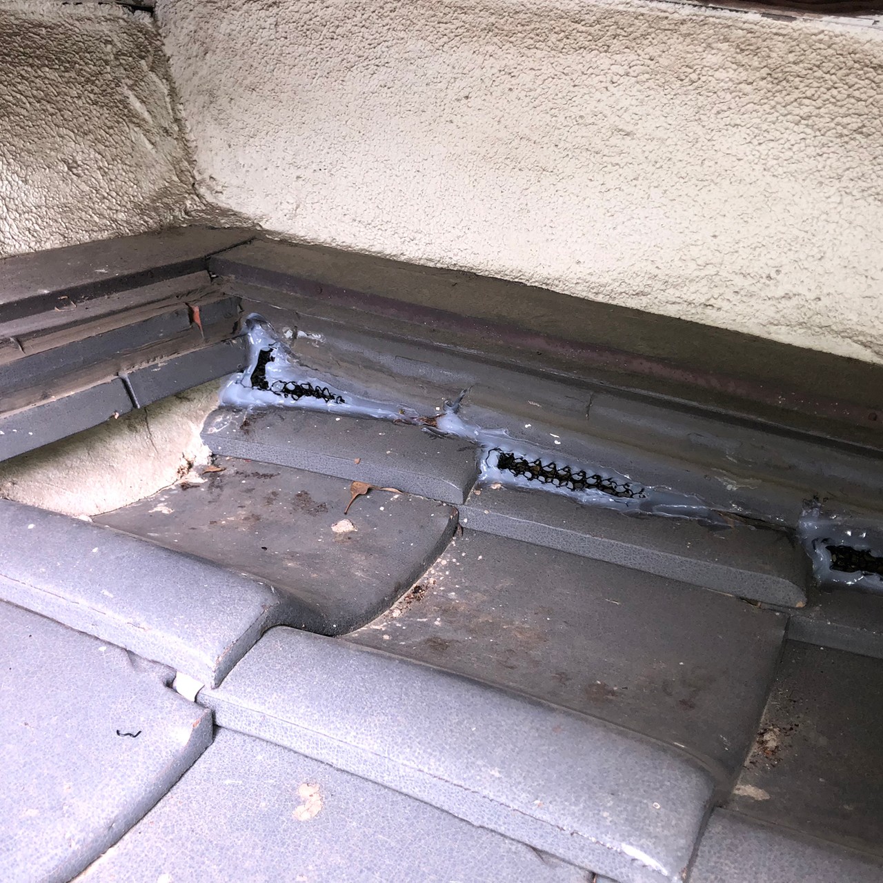 佐賀県神崎市　アライグマによる被害　M様邸　駆除実績