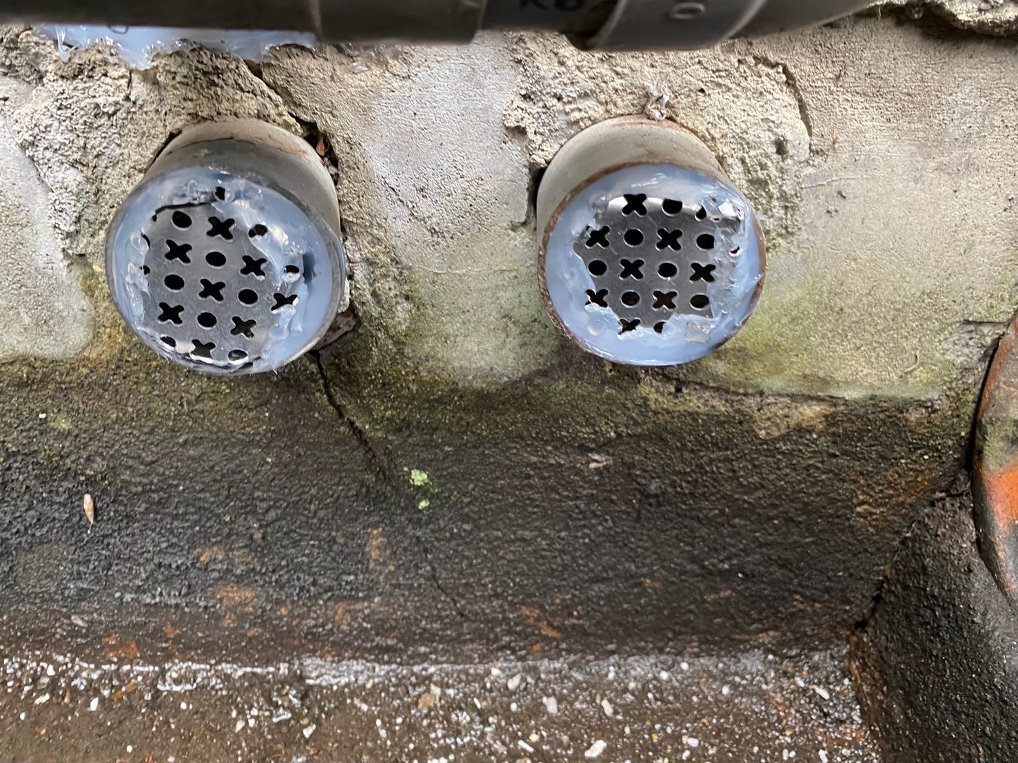 佐賀県佐賀市　ネズミによる被害　K様邸　駆除実績