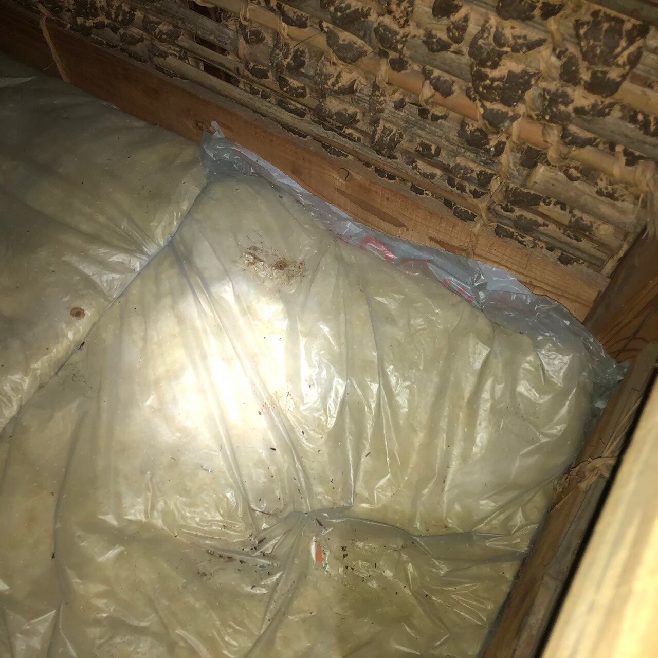 福岡県八女市　イタチによる被害　O様邸　駆除実績