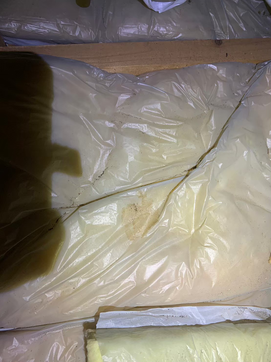 佐賀県佐賀市　ネズミによる被害　S様邸　駆除実績