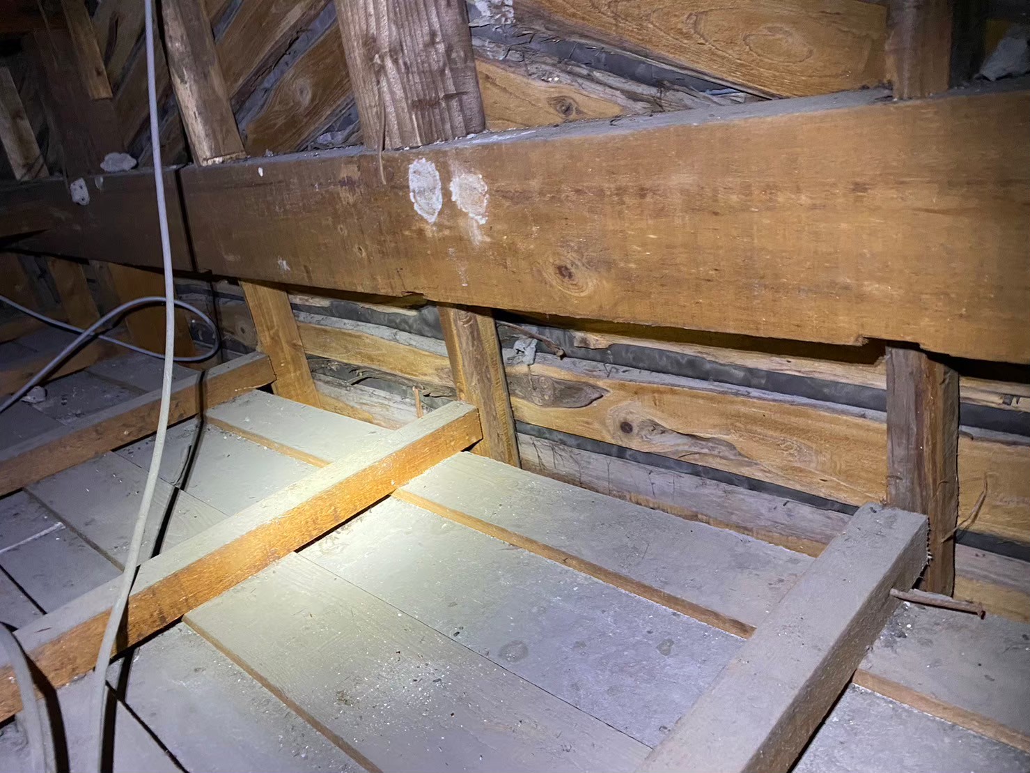 佐賀県鳥栖市　イタチによる被害　K様邸　駆除実績