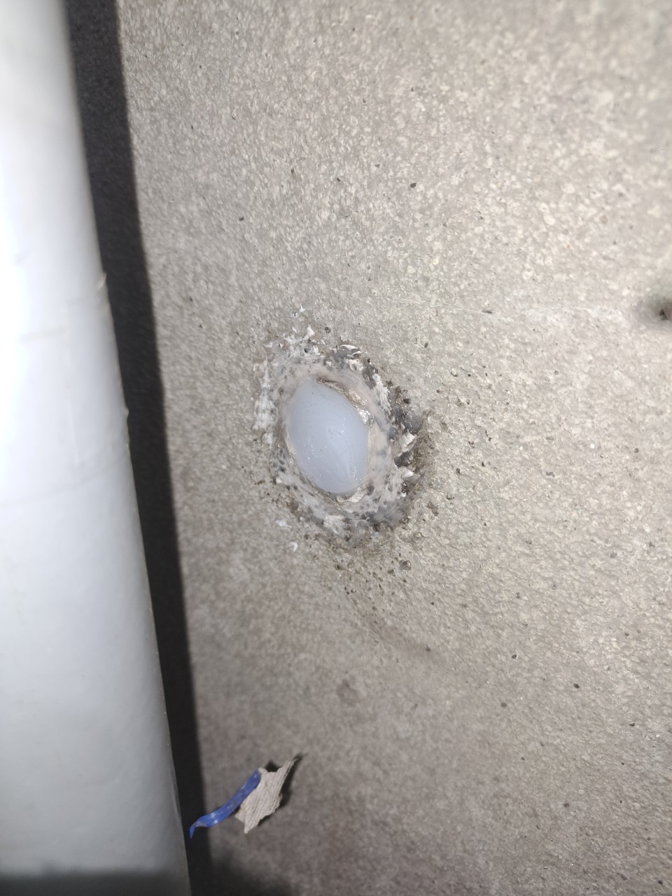 福岡県飯塚市　ネズミによる被害　M様邸　駆除実績