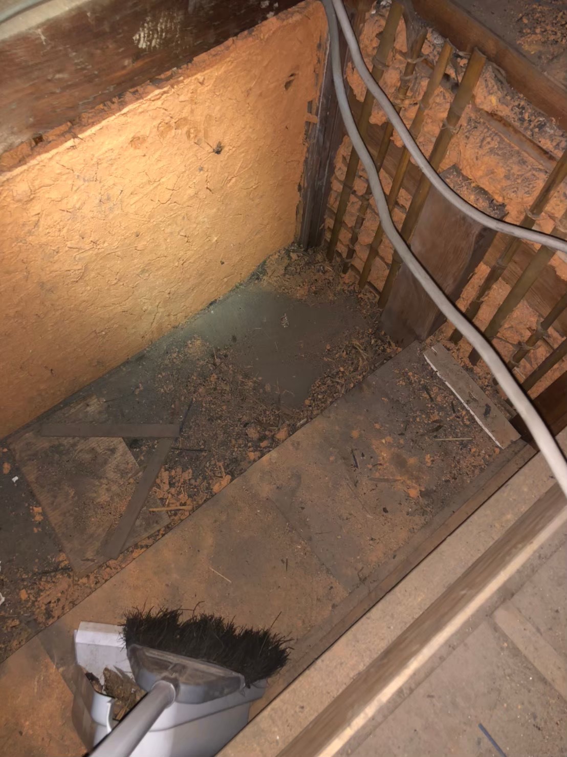 アライグマによる被害　M様邸　駆除実績