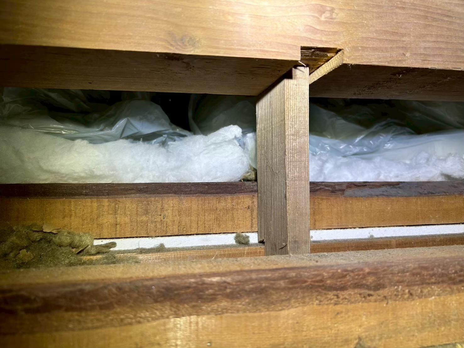 佐賀県神崎市　イタチによる被害　E様邸　駆除実績