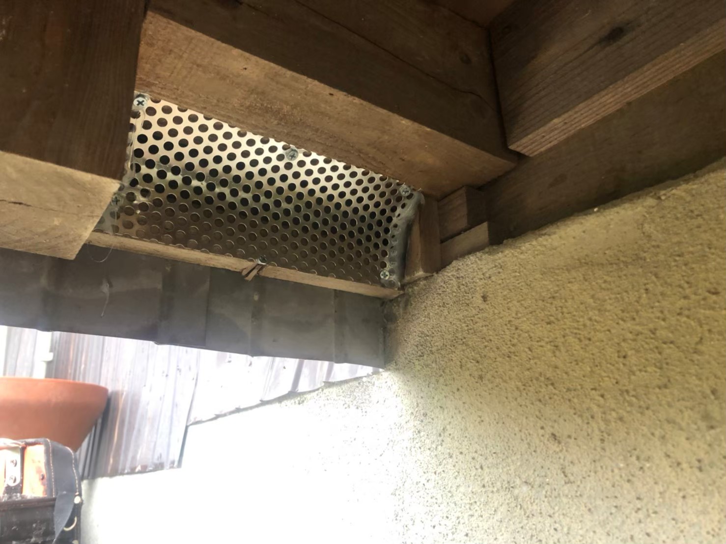 福岡県久留米市　アライグマによる被害　F様邸　駆除実績