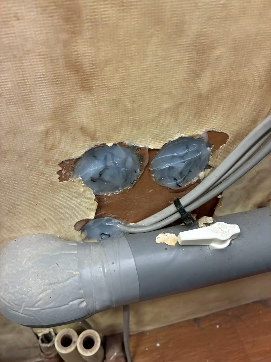 福岡県福岡市　ネズミによる被害　K様邸　駆除実績