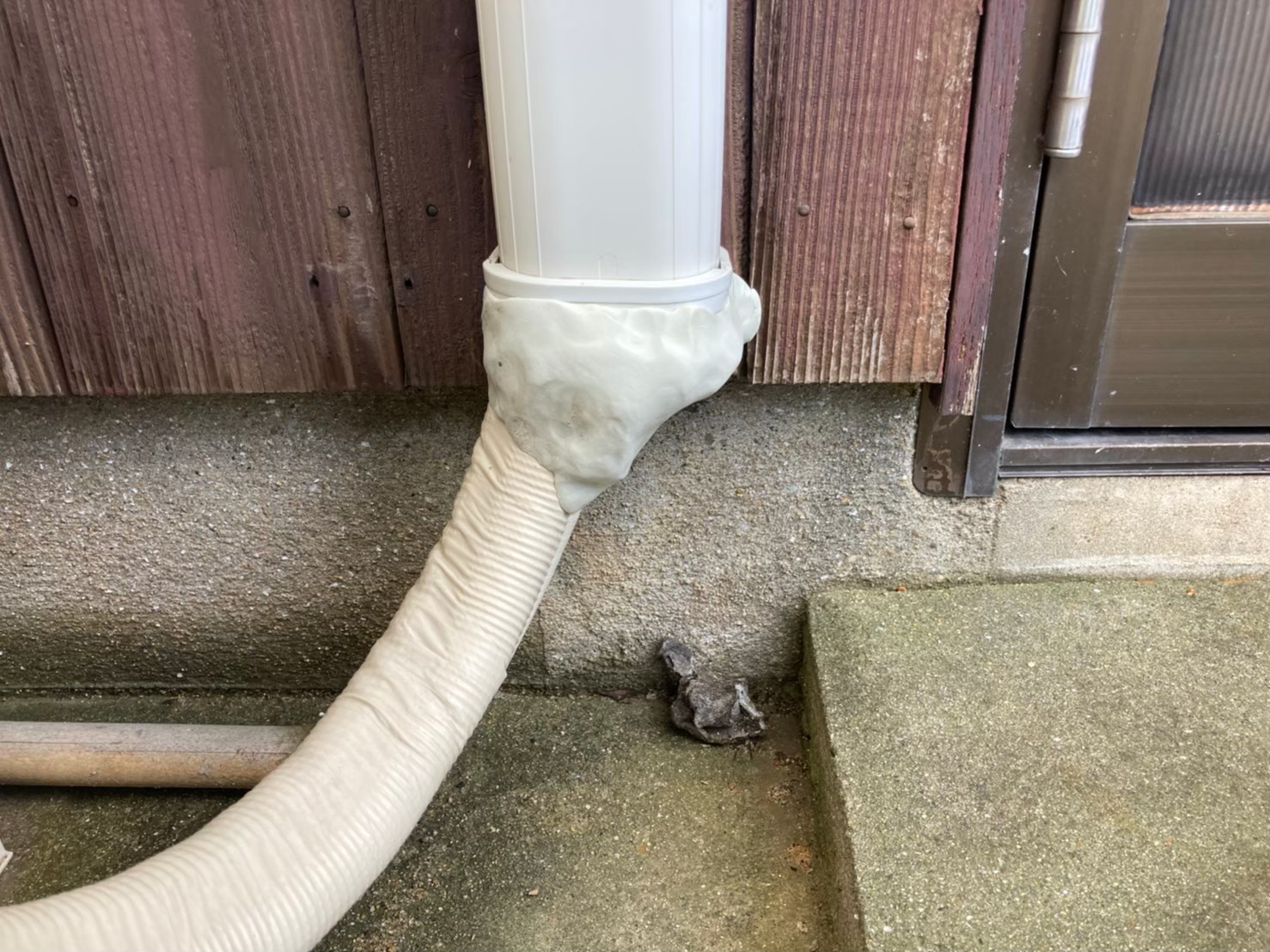 イタチによる被害　Y様邸　駆除実績