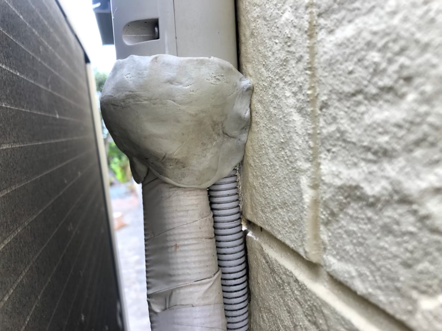 佐賀県唐津市　ネズミによる被害　Y様邸　駆除実績