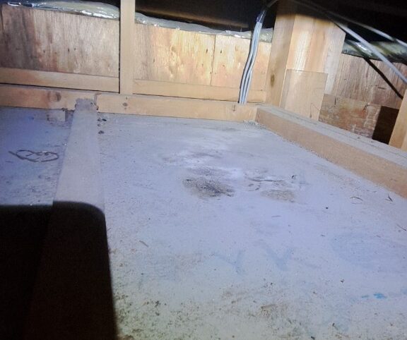 佐賀県神崎市　アライグマによる被害　K様邸　駆除実績