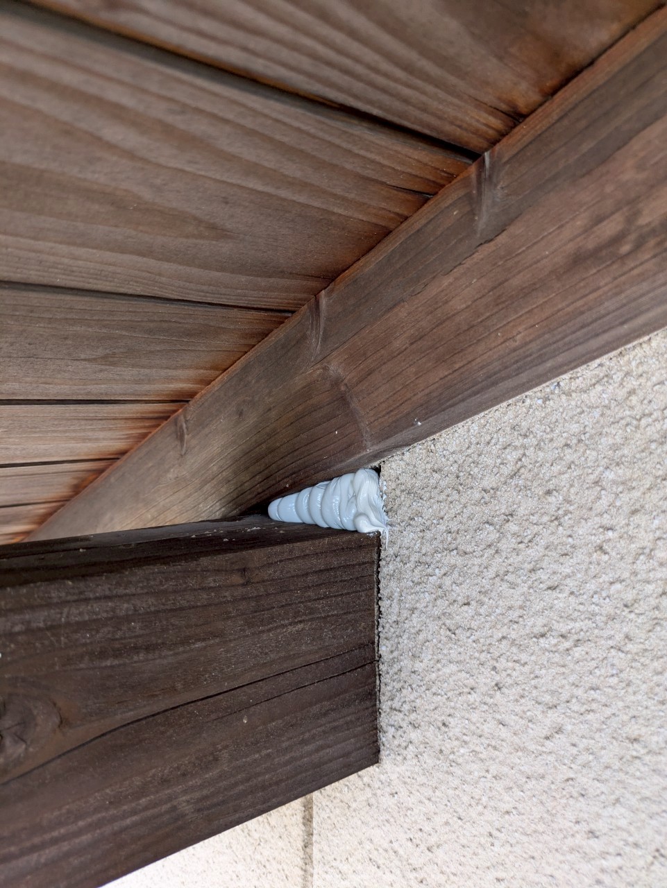 佐賀県伊万里市　ネズミによる被害　T様邸　駆除実績