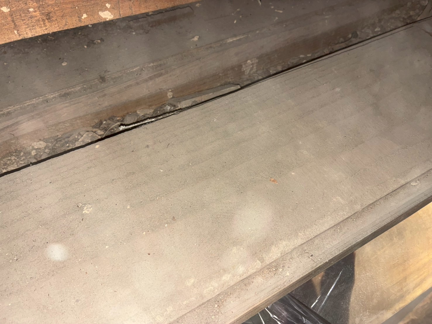 福岡県大野城市　アライグマによる被害　E様邸　駆除実績