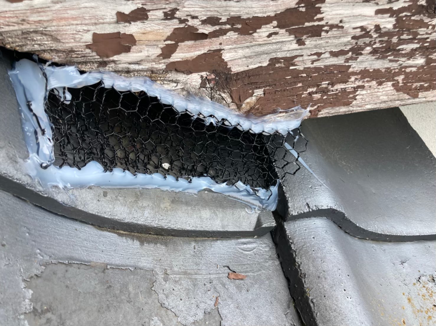 ハクビシンによる被害　A様邸　駆除実績