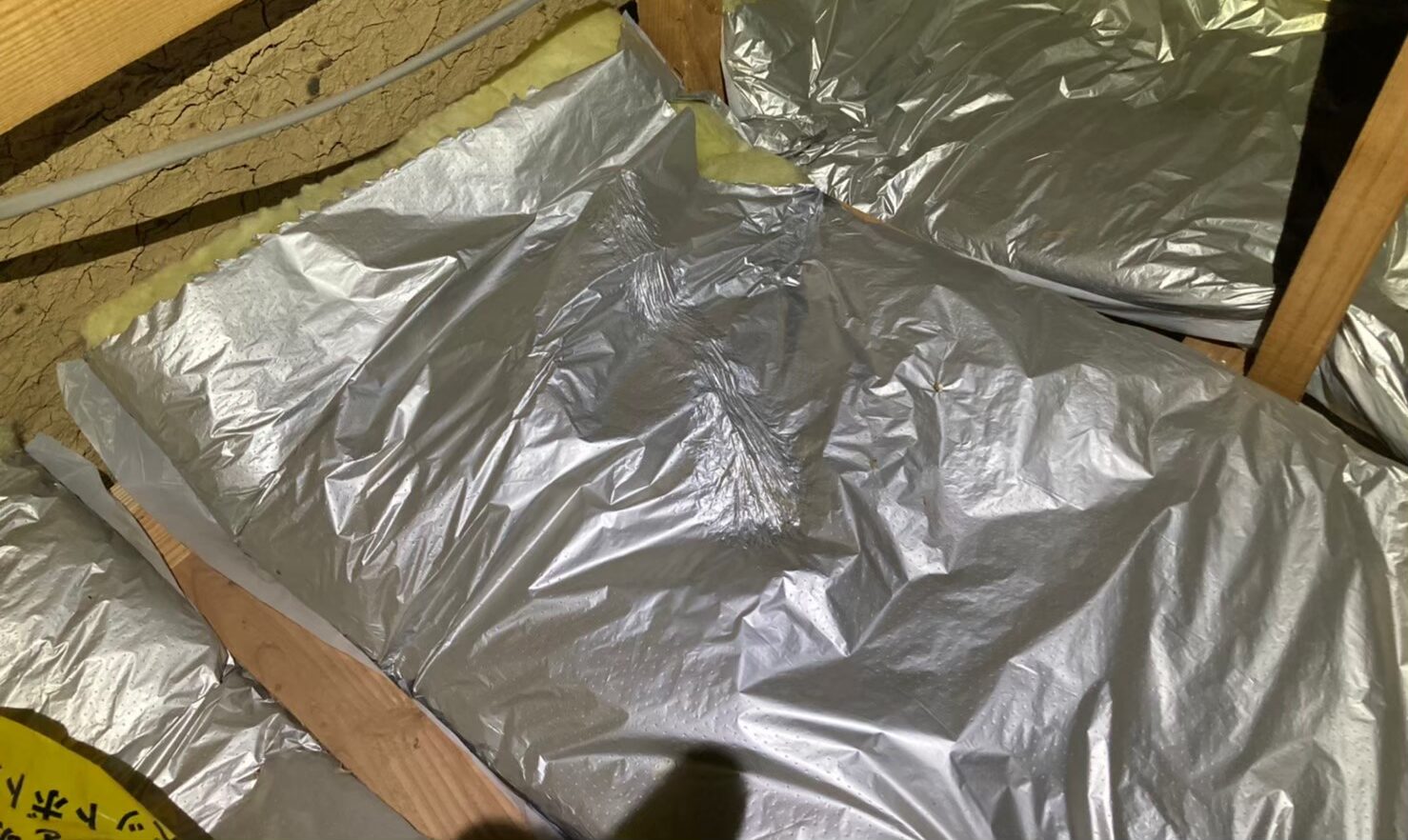 コウモリによる被害　N様邸　駆除実績