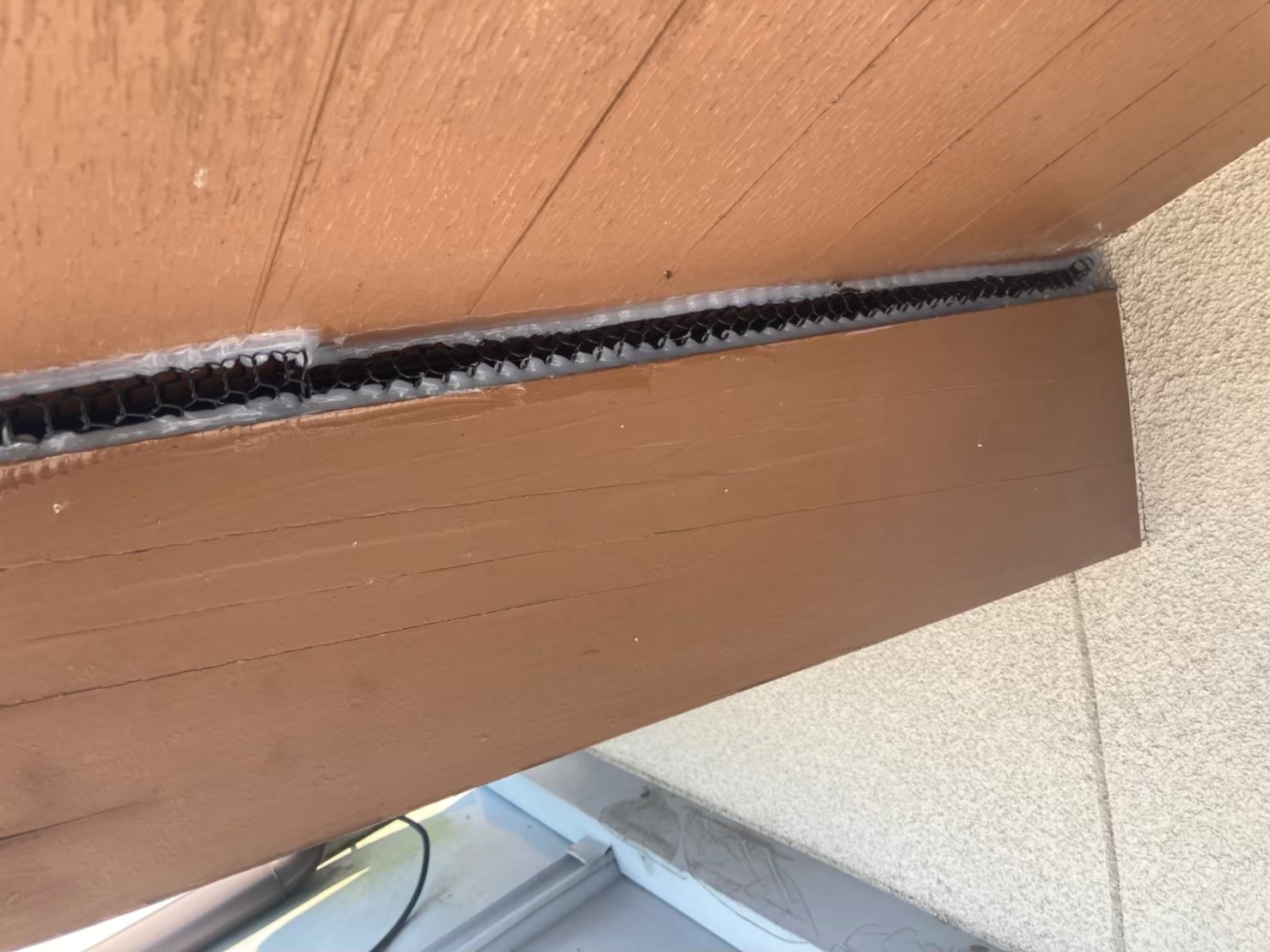 ネズミによる被害　M様邸　駆除実績