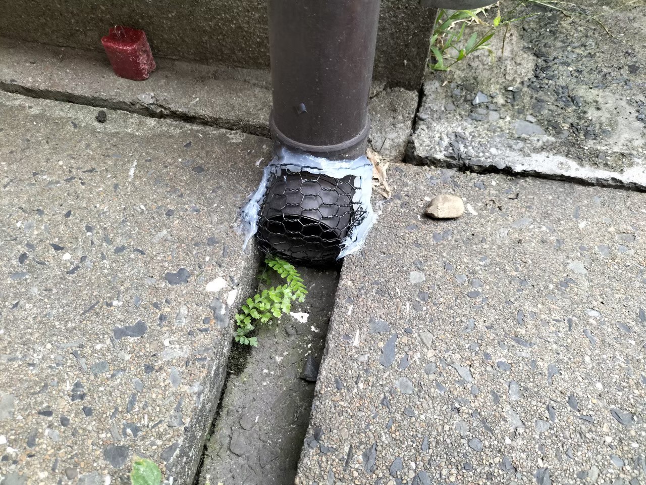 福岡県筑紫野市　ネズミによる被害　A様邸　駆除実績