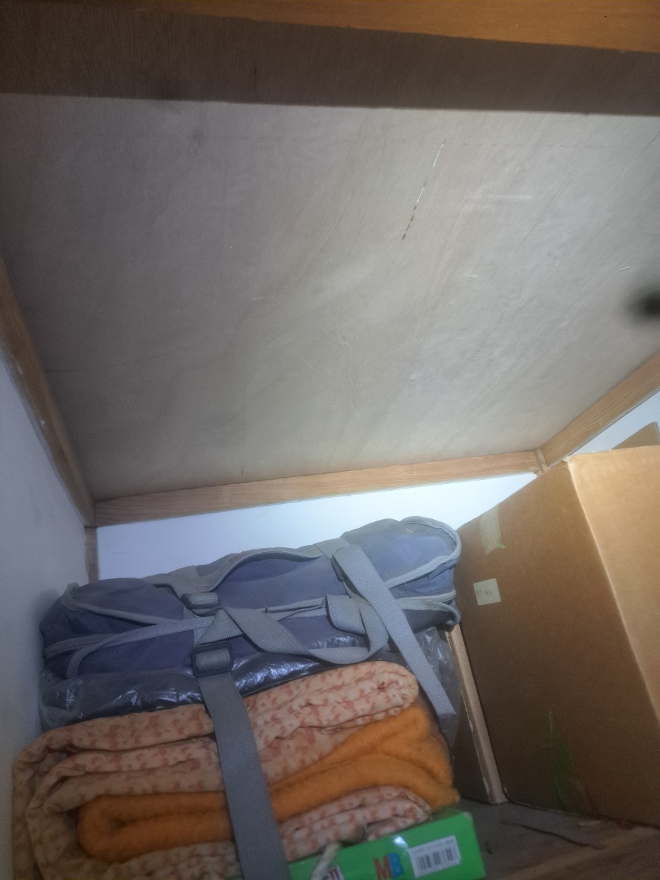 佐賀県神崎市　アライグマによる被害　I様邸　駆除実績