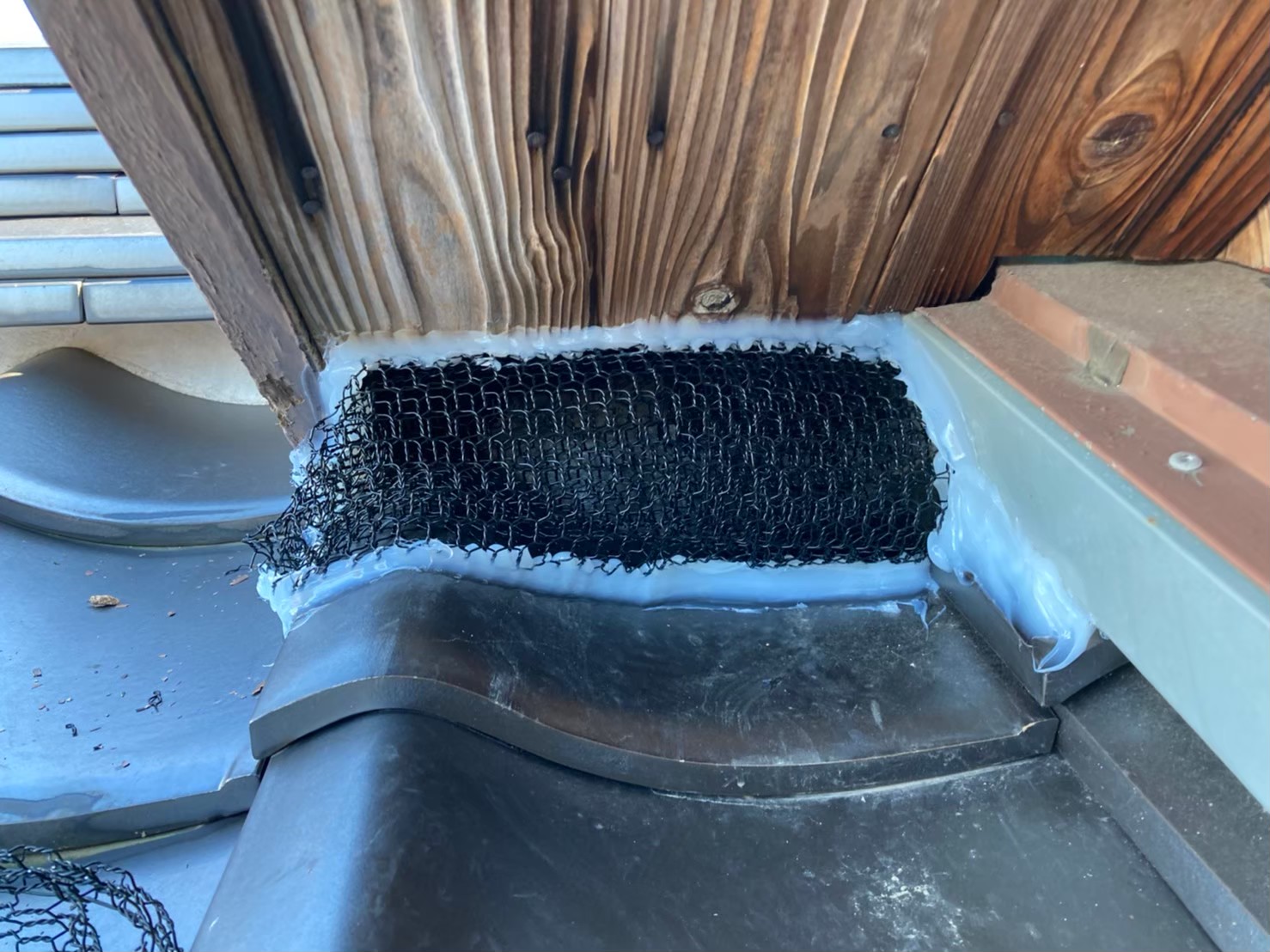 イタチによる被害　T様邸　駆除実績