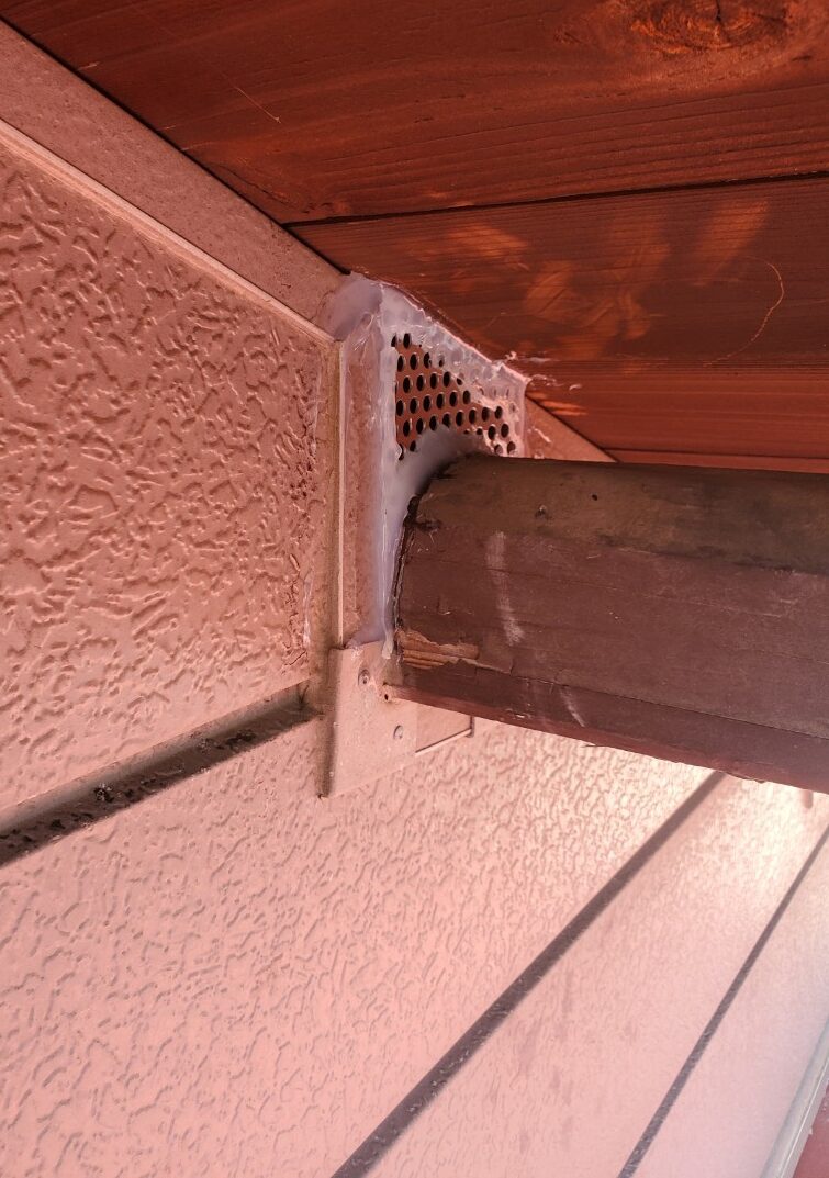 佐賀県神崎市　アライグマによる被害　M様邸　駆除実績