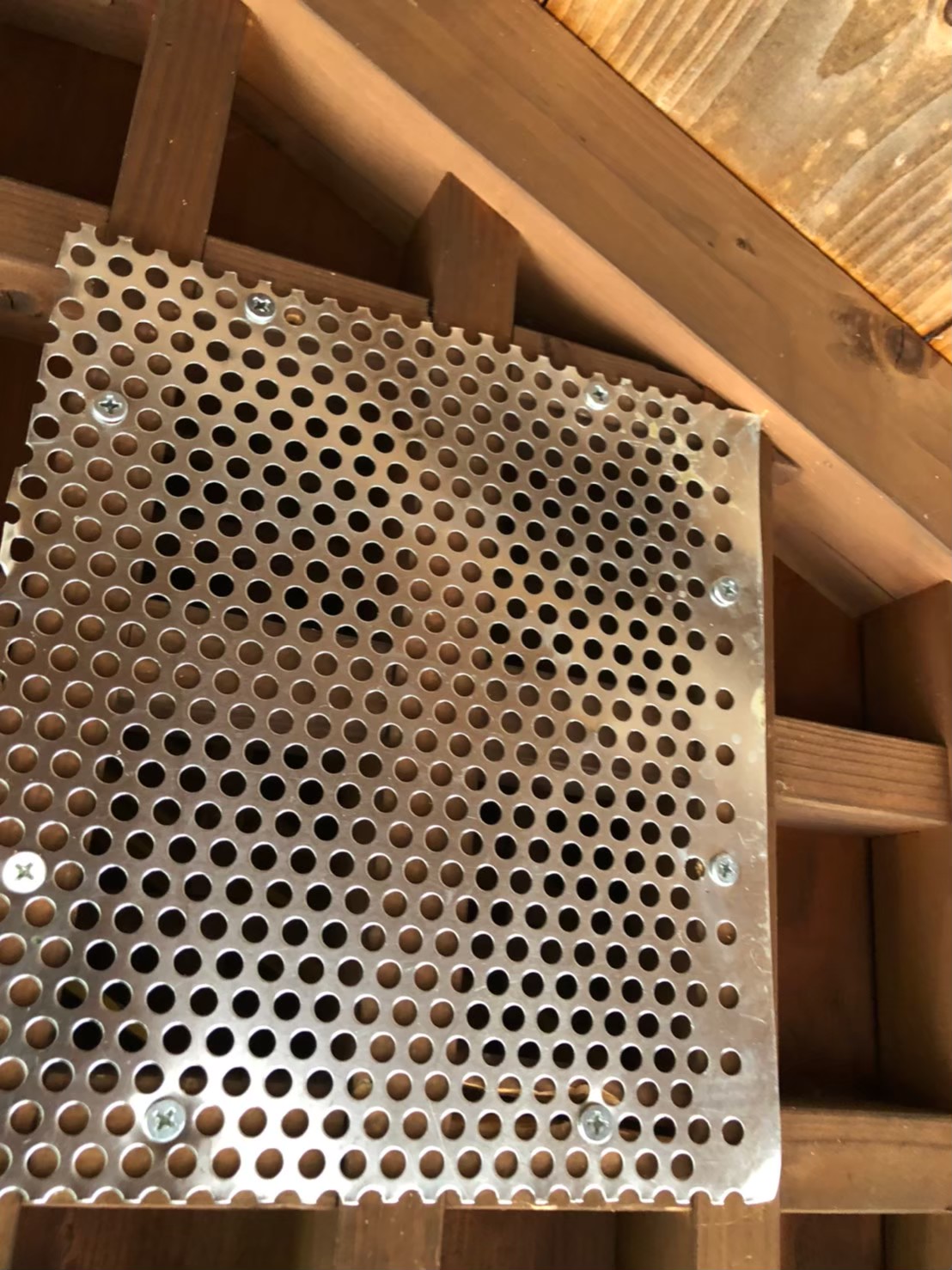 イタチによる被害　T様邸　駆除実績