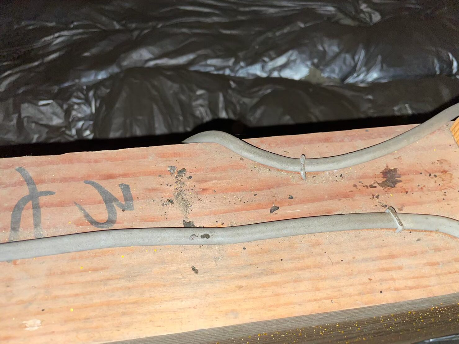 福岡県小郡市　イタチによる被害　A様邸　駆除実績