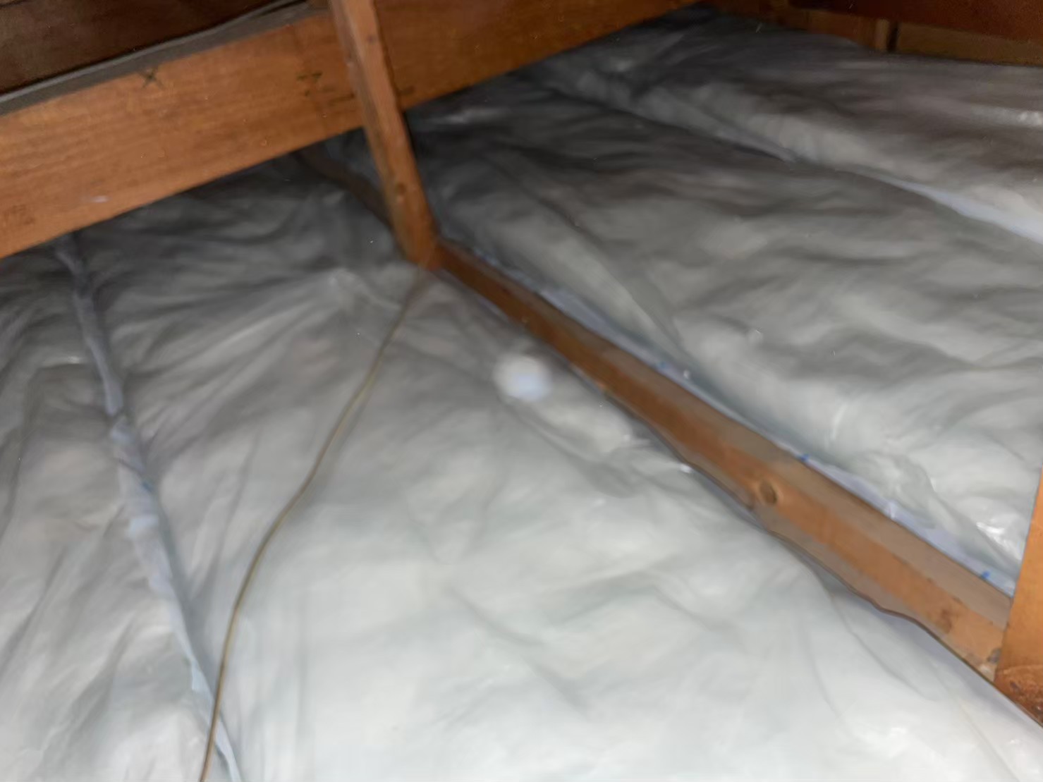 佐賀県鳥栖市　イタチによる被害　S様邸　駆除実績