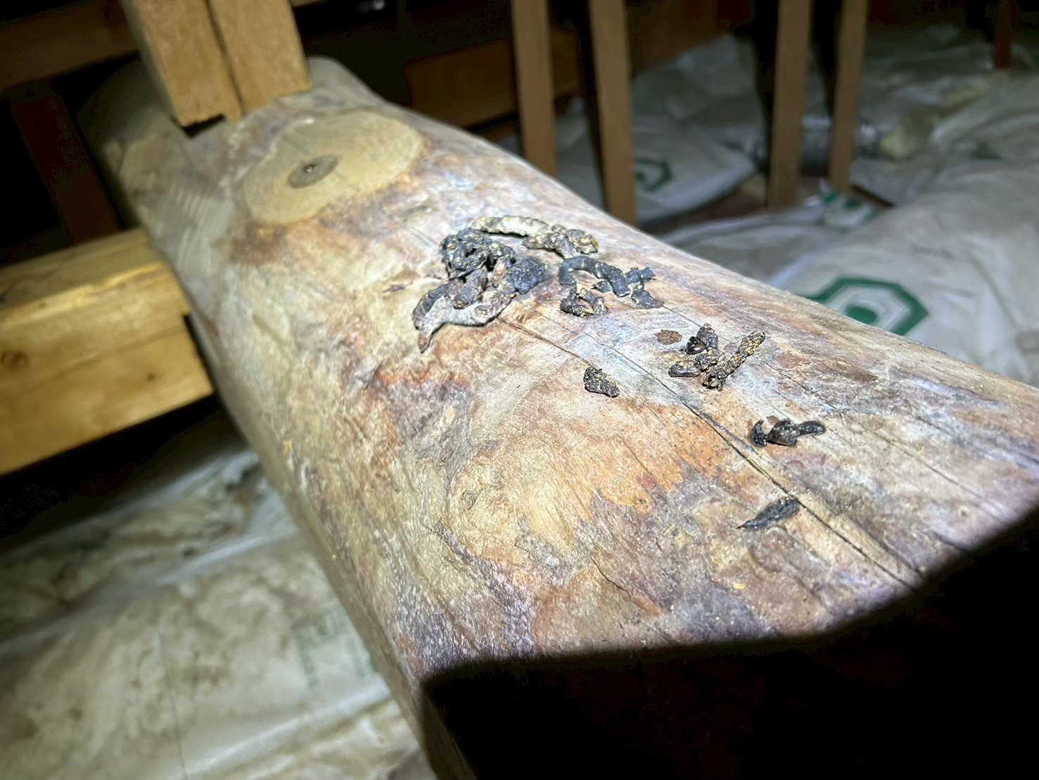 佐賀県多久市　イタチによる被害　B様邸　駆除実績