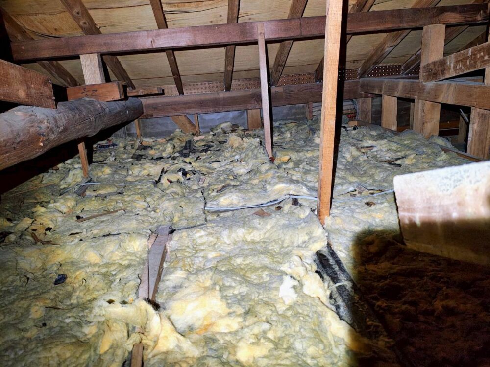 福岡県大野城市　アライグマによる被害　E様邸　駆除実績