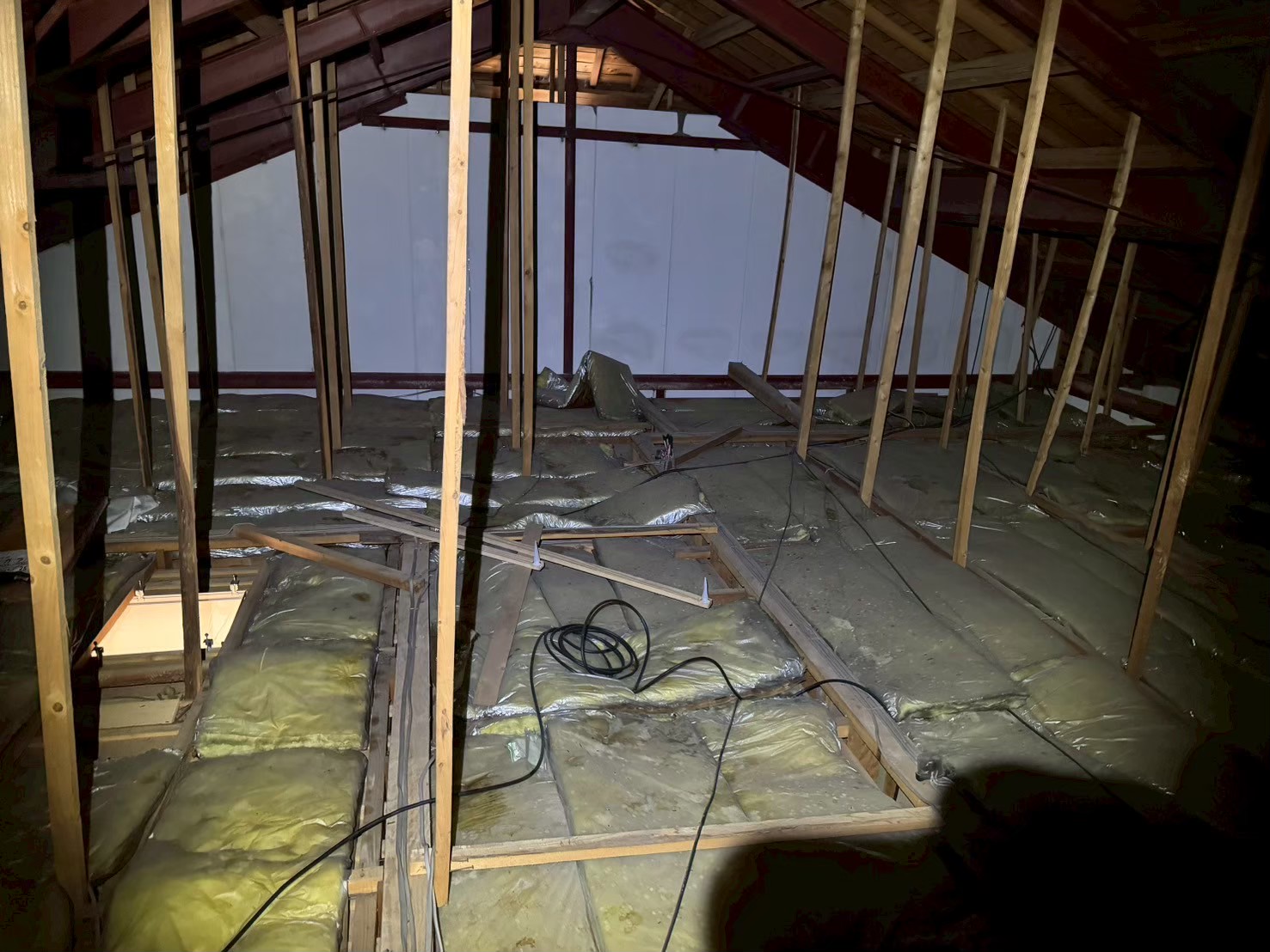 佐賀県伊万里市　イタチによる被害　T様邸　駆除実績