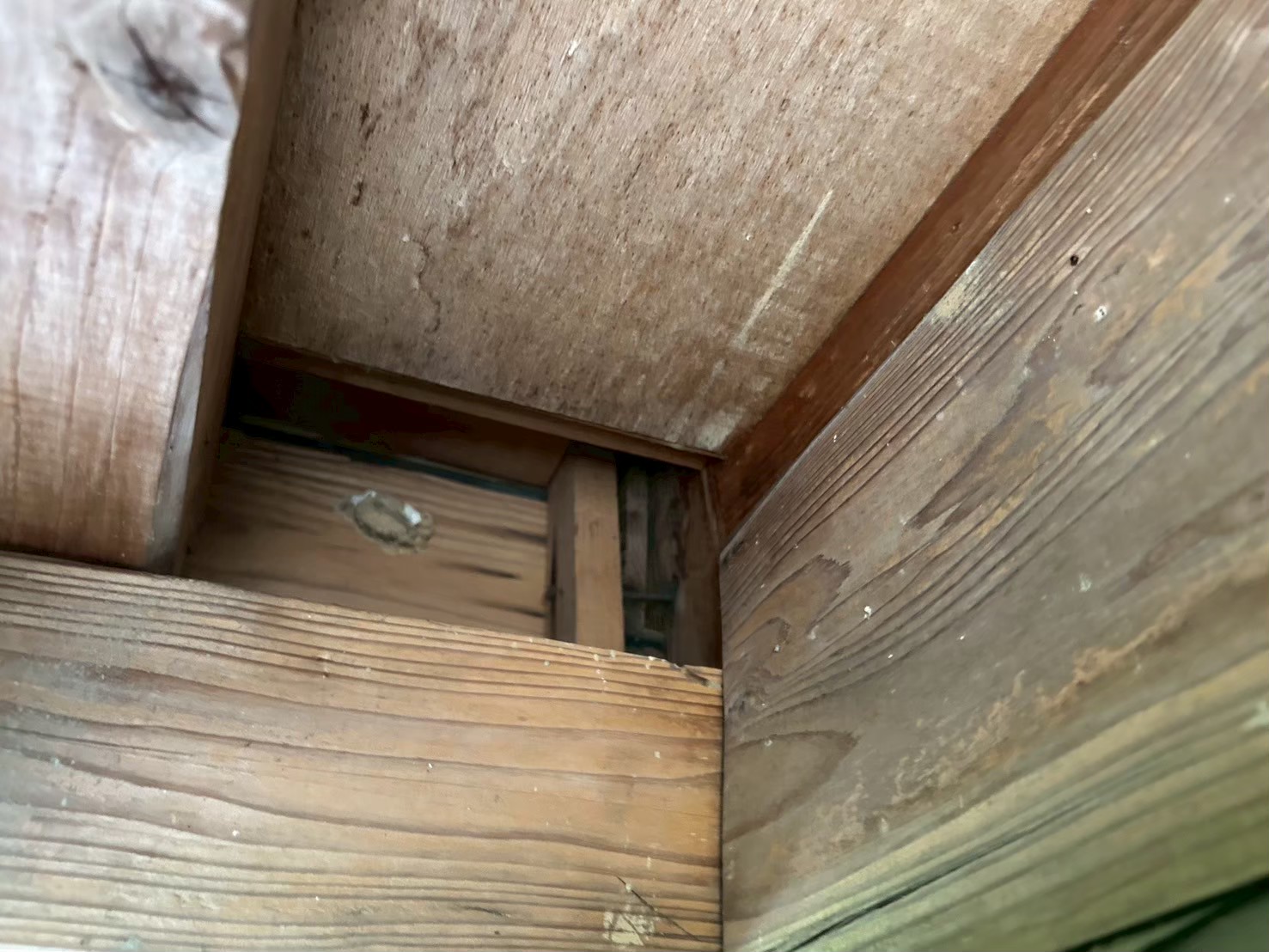 福岡県うきは市　アライグマによる被害　J様邸　駆除実績