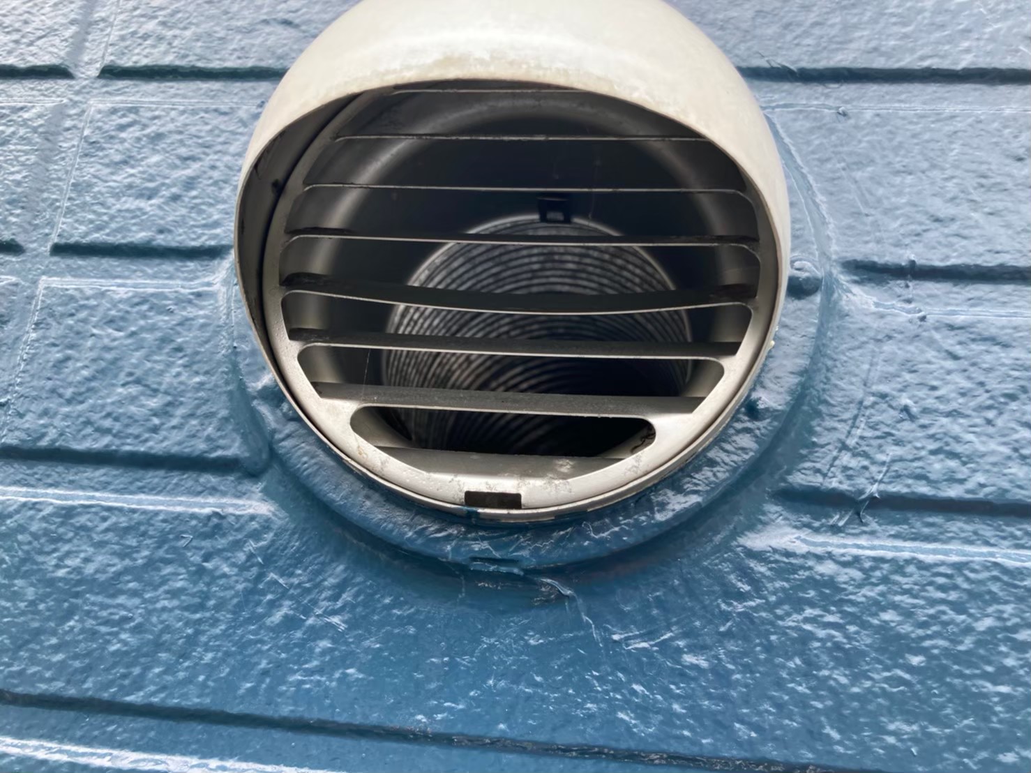 コウモリによる被害　S様邸　駆除実績