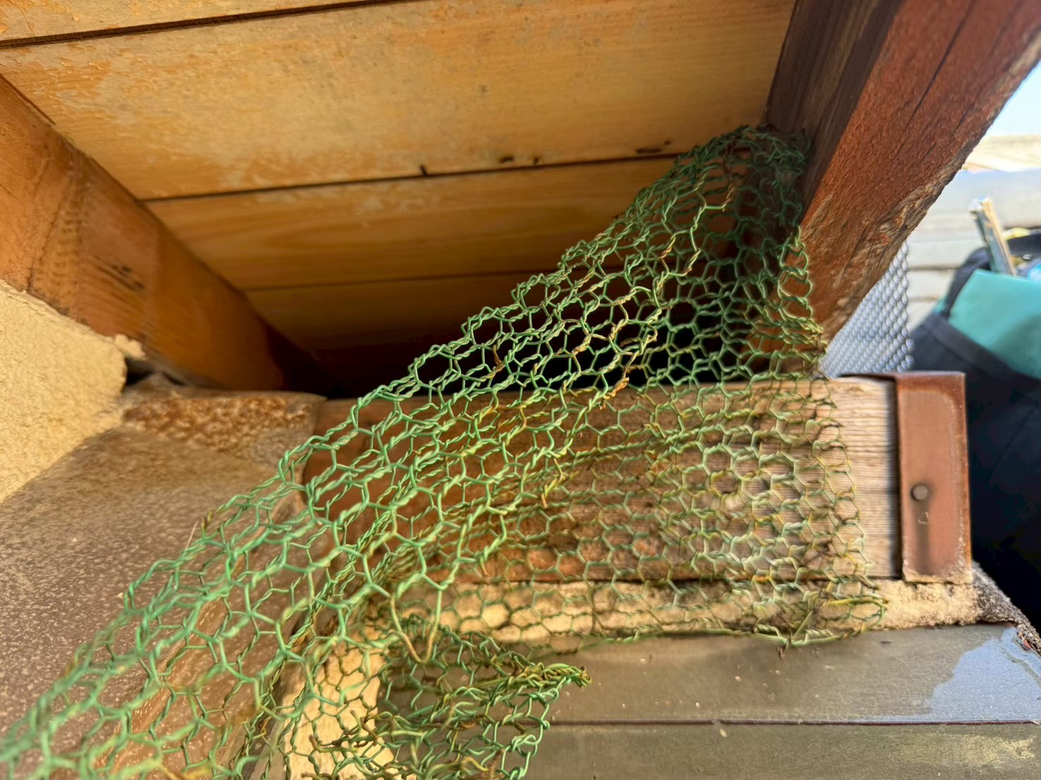 福岡県筑紫野市　イタチによる被害　Y様邸　駆除実績