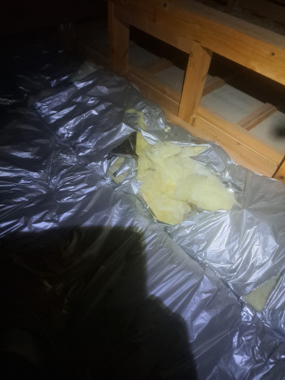 佐賀県鹿島市　アライグマによる被害　M様邸　駆除実績