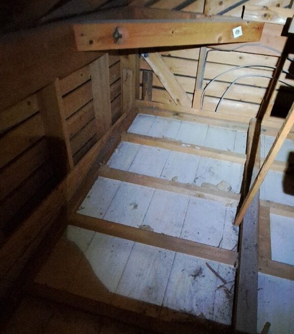 福岡県大野城市　イタチによる被害　K様邸　駆除実績