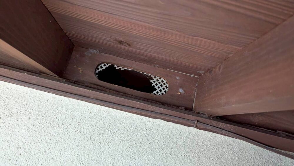 福岡県八女市　イタチによる被害　D様邸　駆除実績