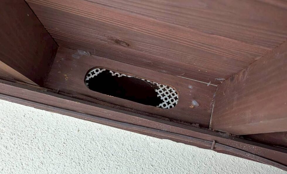 福岡県八女市　イタチによる被害　D様邸　駆除実績