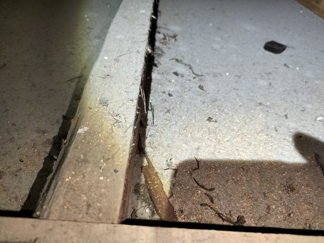 佐賀県伊万里市　ネズミによる被害　J様邸　駆除実績