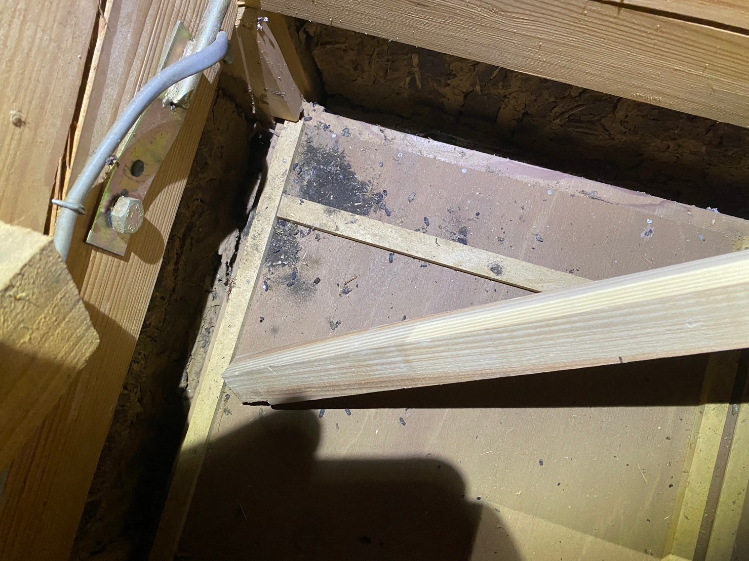 佐賀県佐賀市　イタチによる被害　Y様邸　駆除実績